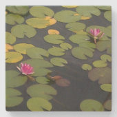 Lilypad Pond Painting Monet Steinuntersetzer (Vorderseite)