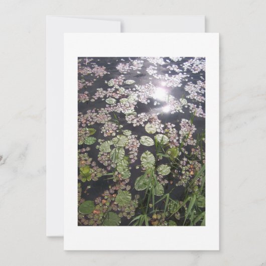 'Lilypads' Einladung zur Anpassung (Vorderseite)