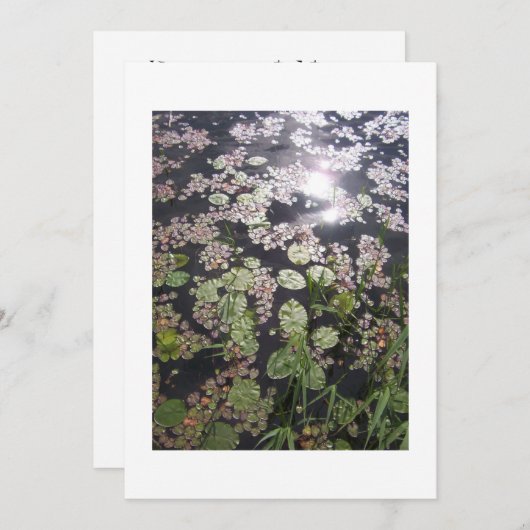 'Lilypads' Einladung zur Anpassung (Vorne/Hinten)