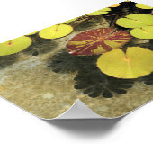 Lilypads Poster (Ecke)