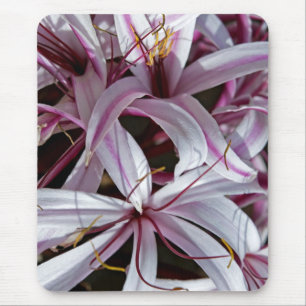 Lilys Mauspad