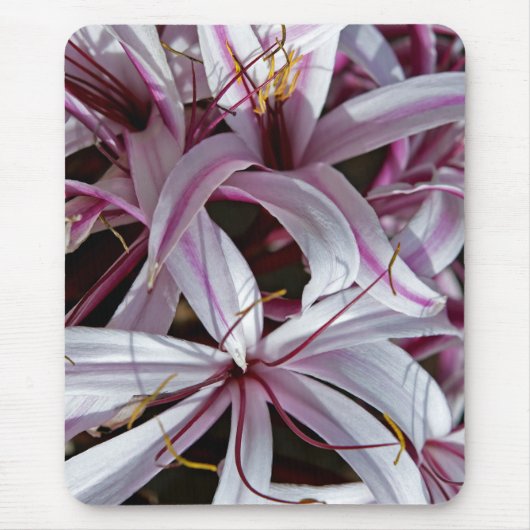 Lilys Mauspad (Vorne)