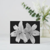 Lilys Postkarte (Stehend Vorderseite)