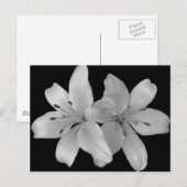 Lilys Postkarte (Vorne/Hinten)