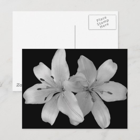 Lilys Postkarte (Vorne/Hinten)