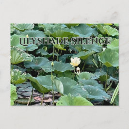 Lilyshade Silence  Postkarte