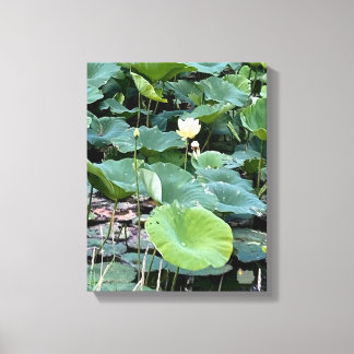 Lilyshade Stille 11 x 14 Leinwanddruck