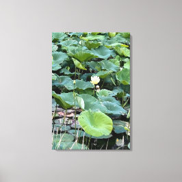 Lilyshade Stille 20 x30 Leinwanddruck