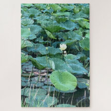 Lilyshade Stille - Leise Ember-Rätsel