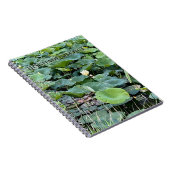 Lilyshade Stille Notizblock (Rechte Seite)