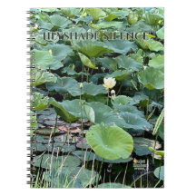 Lilyshade Stille 