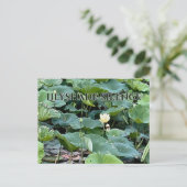 Lilyshade Stille  Postkarte (Stehend Vorderseite)
