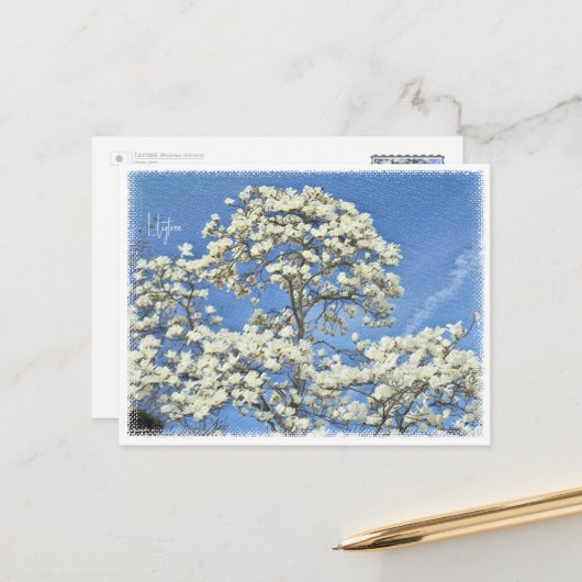 Lilytree Postkarte (Vorderseite/Rückseite Beispiel)
