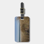 Limantour Beach am Point Reyes National Seashore I Gepäckanhänger (Vorderseite vertikal)