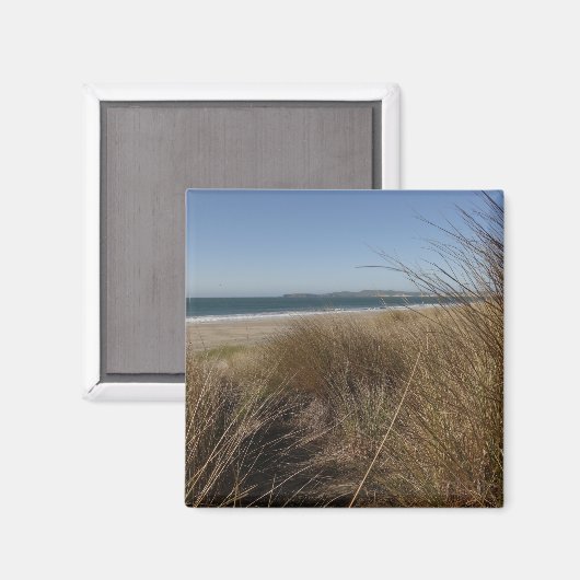 Limantour Beach am Point Reyes National Seashore I Magnet (Vorderseite/Rückseite)