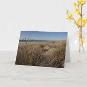 Limantour Beach bei Point Reyes II Karte (Gelbe Blume)