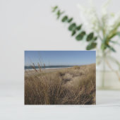 Limantour Beach bei Point Reyes II Postkarte (Stehend Vorderseite)