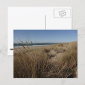 Limantour Beach bei Point Reyes II Postkarte (Vorne/Hinten)