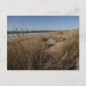 Limantour Beach bei Point Reyes II Postkarte (Vorderseite)