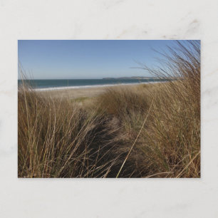 Limantour Beach im Point Reyes National Seashore I Postkarte