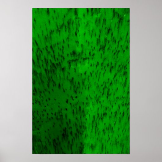 Lime Green Earthenware Poster (Vorne)