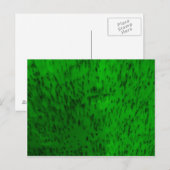 Lime Green Earthenware Postkarte (Vorne/Hinten)