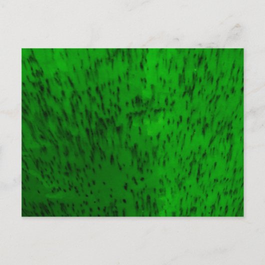 Lime Green Earthenware Postkarte (Vorderseite)