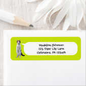 Lime Green Funny Stehend Cat Foto Rücksendeadresse (Insitu)