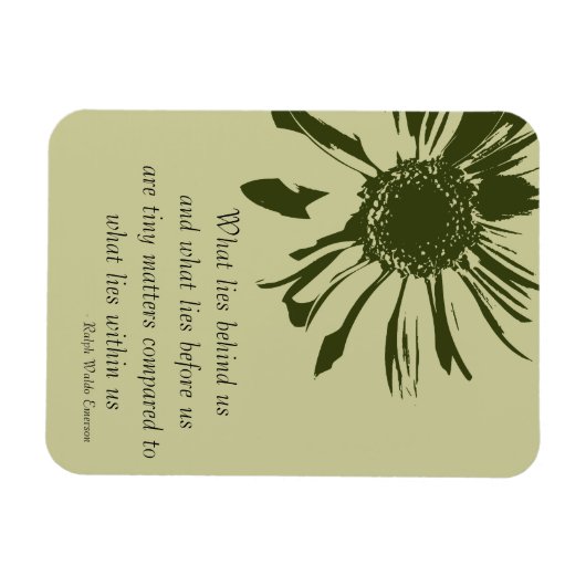 Lime Green Gerbera Blume Magnet (Horizontal)