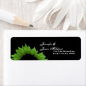 Lime Green Sunflower Wedding (Insitu)