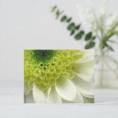 Lime Treat Postkarte (Stehend Vorderseite)