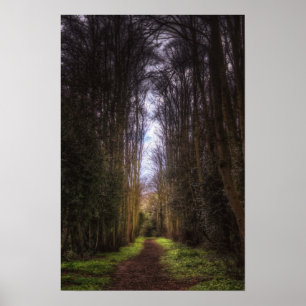 Lime Tree Path Poster