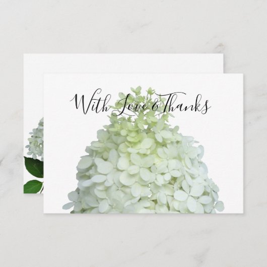 Limelight Hydrangea Blank Floral Dankeschön Karten (Vorne/Hinten)