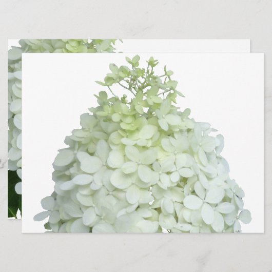 Limelight Hydrangea Bridal / Polterabend Einladung (Vorne/Hinten)