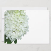 Limelight Hydrangea Bridal / Polterabend Einladung (Rückseite)