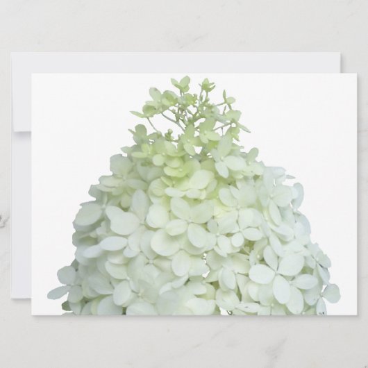 Limelight Hydrangea Bridal / Polterabend Einladung (Vorderseite)