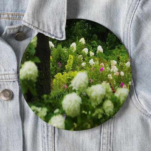 Limelight-Hydrangeas in meinem Rubio-Garten Button (Beispiel)