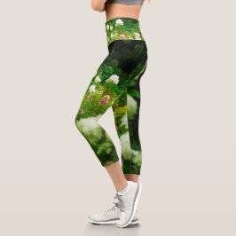 Limelight-Hydrangeas in meinem Rubio-Garten Capri Leggings