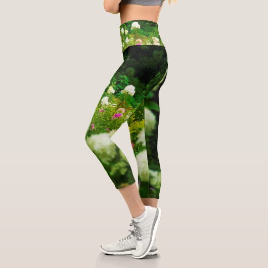 Limelight-Hydrangeas in meinem Rubio-Garten Capri Leggings (Links)