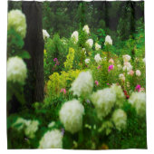 Limelight-Hydrangeas in meinem Rubio-Garten Duschvorhang (Vorderseite)