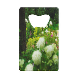 Limelight-Hydrangeas in meinem Rubio-Garten Geldbeutel Flaschenöffner