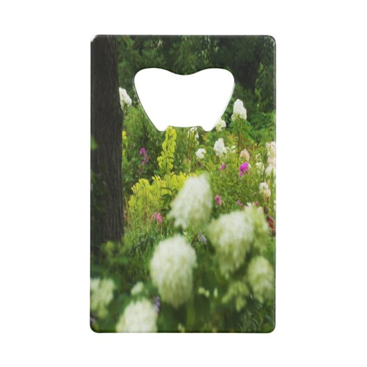 Limelight-Hydrangeas in meinem Rubio-Garten Geldbeutel Flaschenöffner (Vorderseite)