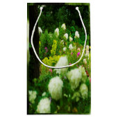 Limelight-Hydrangeas in meinem Rubio-Garten Kleine Geschenktüte (Rückseite)