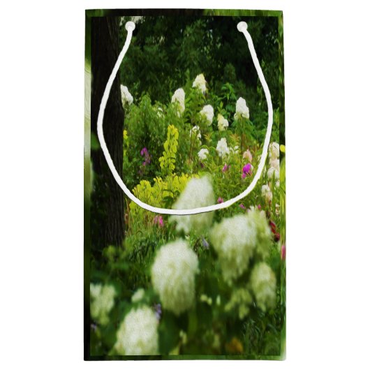 Limelight-Hydrangeas in meinem Rubio-Garten Kleine Geschenktüte (Rückseite)