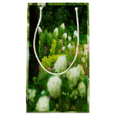 Limelight-Hydrangeas in meinem Rubio-Garten Kleine Geschenktüte (Vorderseite)