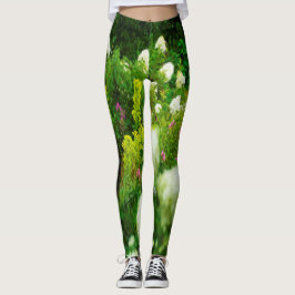 Limelight-Hydrangeas in meinem Rubio-Garten Leggings