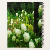 Limelight-Hydrangeas in meinem Rubio-Garten Planer (Rückseite)