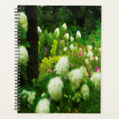 Limelight-Hydrangeas in meinem Rubio-Garten Planer (Vorderseite)