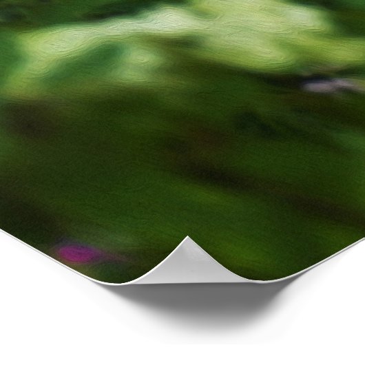 Limelight-Hydrangeas in meinem Rubio-Garten Poster (Ecke)