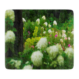 Limelight-Hydrangeas in meinem Rubio-Garten Schneidebrett